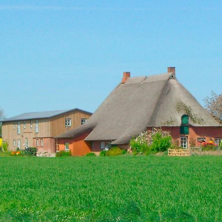 "Hof Triangel - Whg 2" - Bauernhofurlaub Riepsdorf Exterior foto